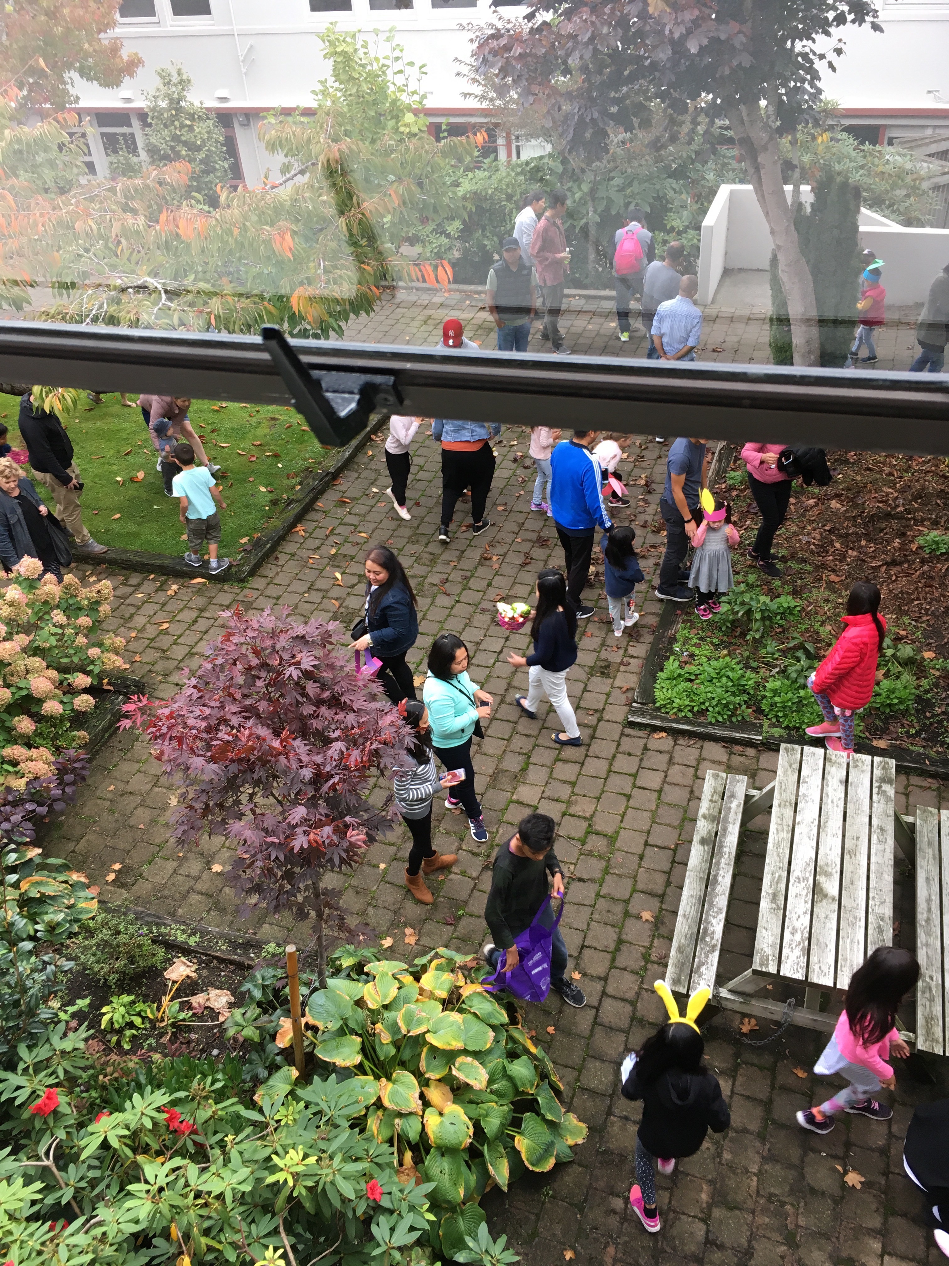 f:id:koonkayu:20190421123541j:image f:id:koonkayu:20190421123541j:image