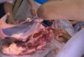 20120729135351