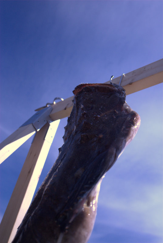 f:id:koonya:20121013112200j:image f:id:koonya:20121013112200j:image