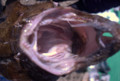20121013112609