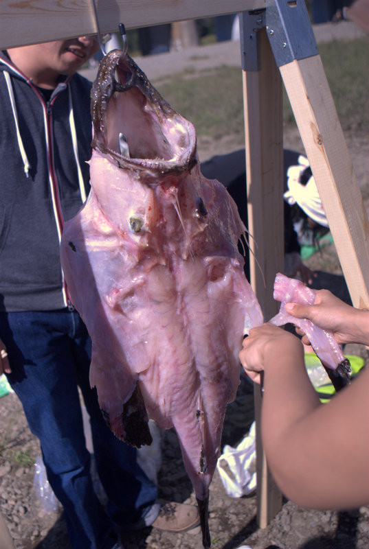 f:id:koonya:20121013120015j:image f:id:koonya:20121013120015j:image