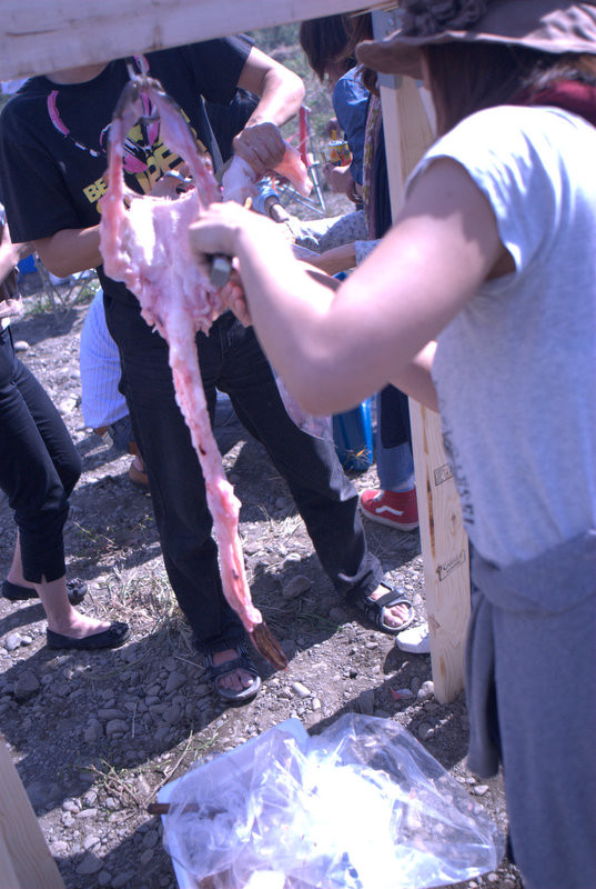 f:id:koonya:20121013121756j:image f:id:koonya:20121013121756j:image