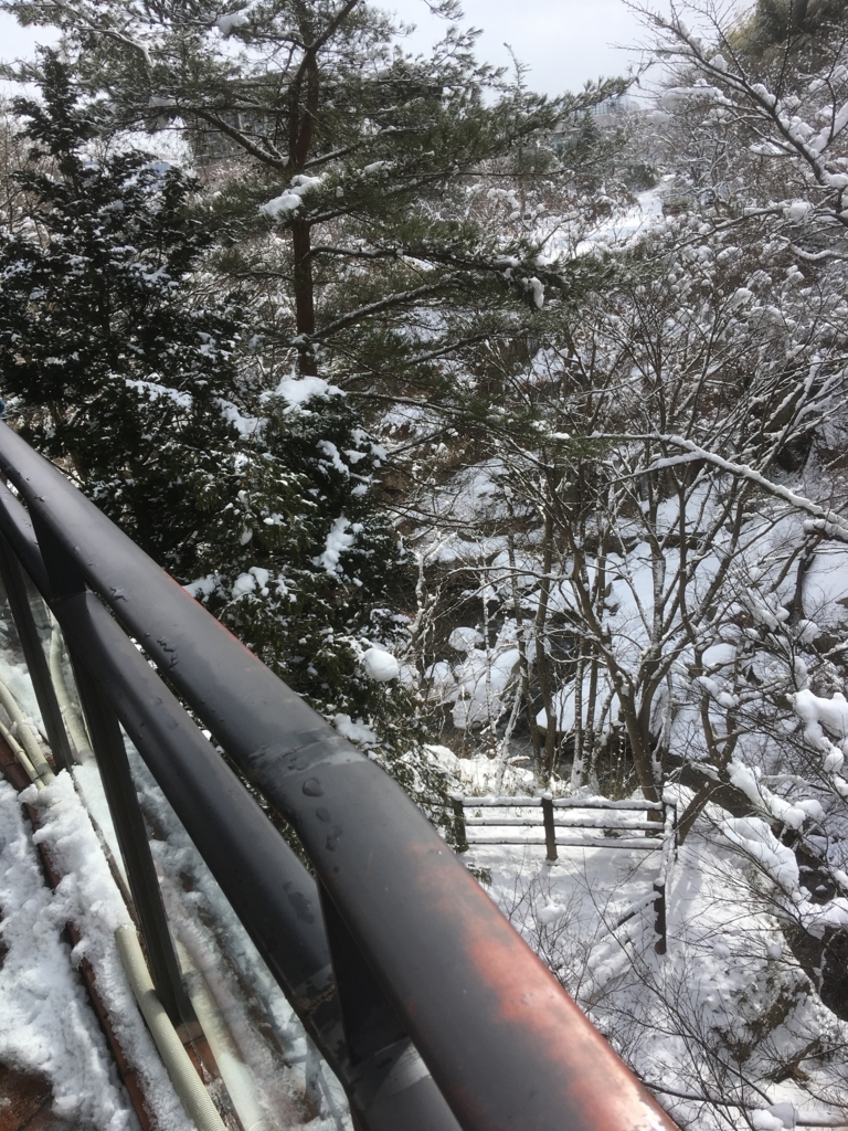 f:id:kooonyaaa:20180222192917j:plain