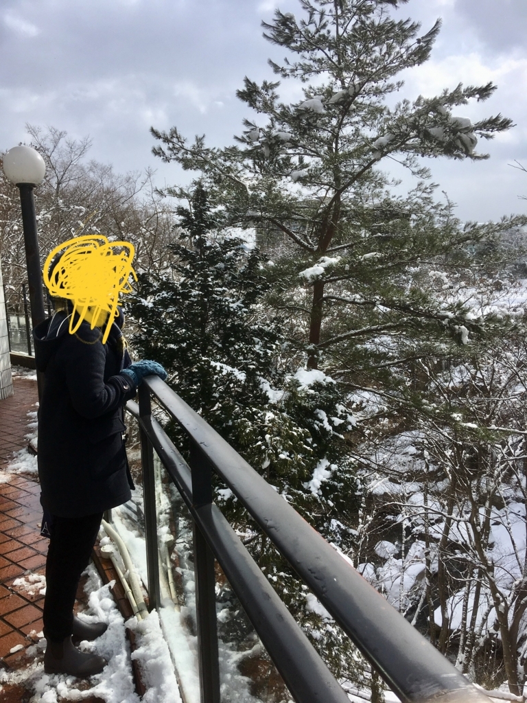 f:id:kooonyaaa:20180222194235j:plain