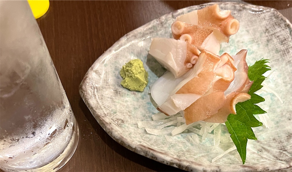 f:id:kooooge:20240623215455j:image