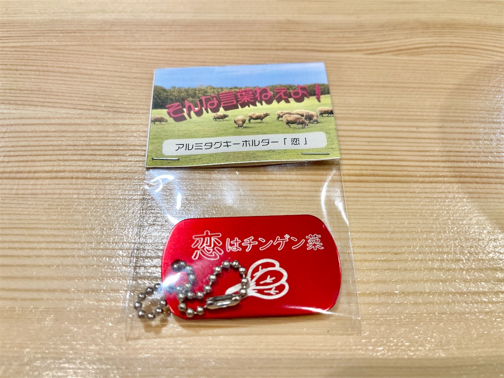 f:id:kooooge:20240625090510j:image