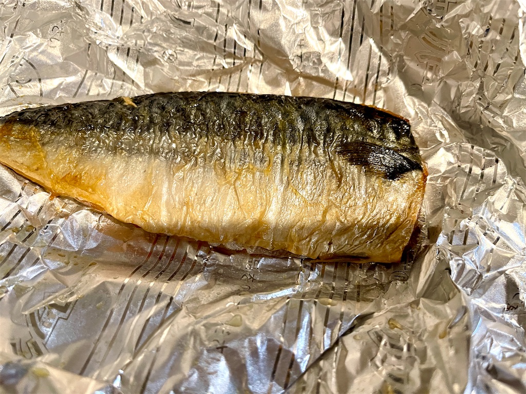 f:id:kooooge:20241129002431j:image