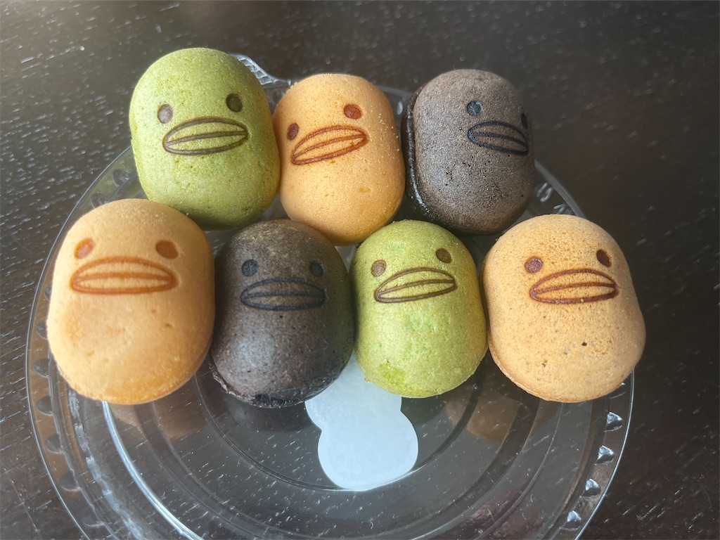 f:id:kooooge:20250216211311j:image