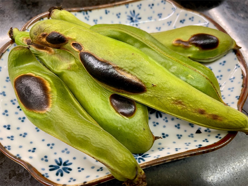 f:id:kooooge:20250224212508j:image