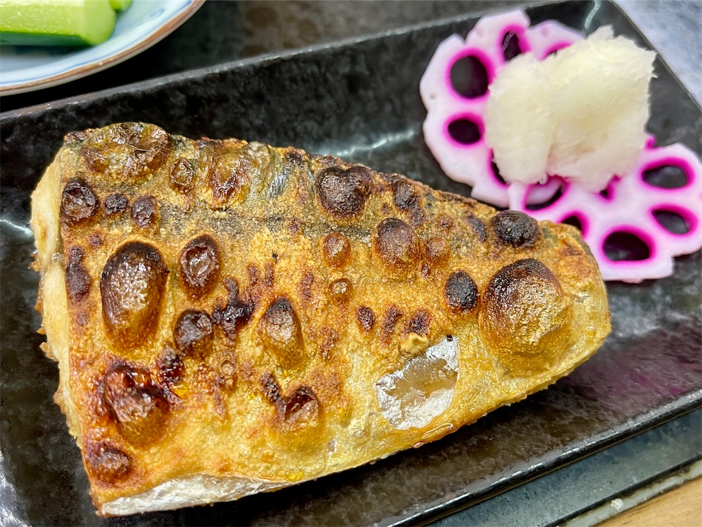 f:id:kooooge:20250224212514j:image