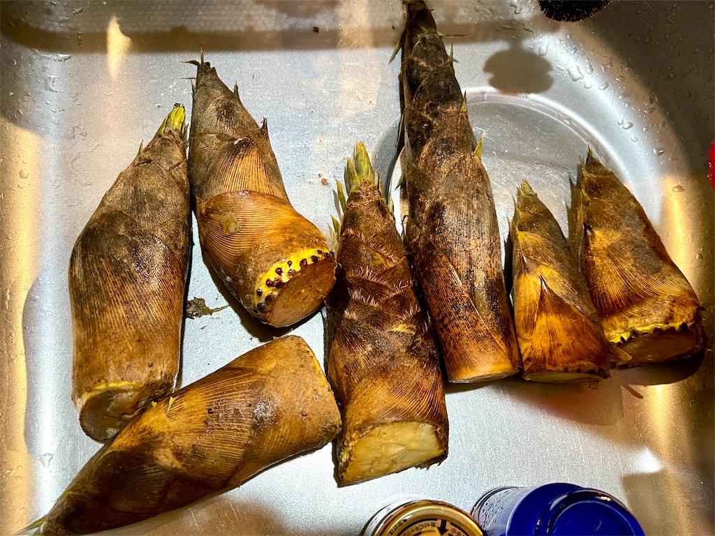 f:id:kooooge:20250505233447j:image