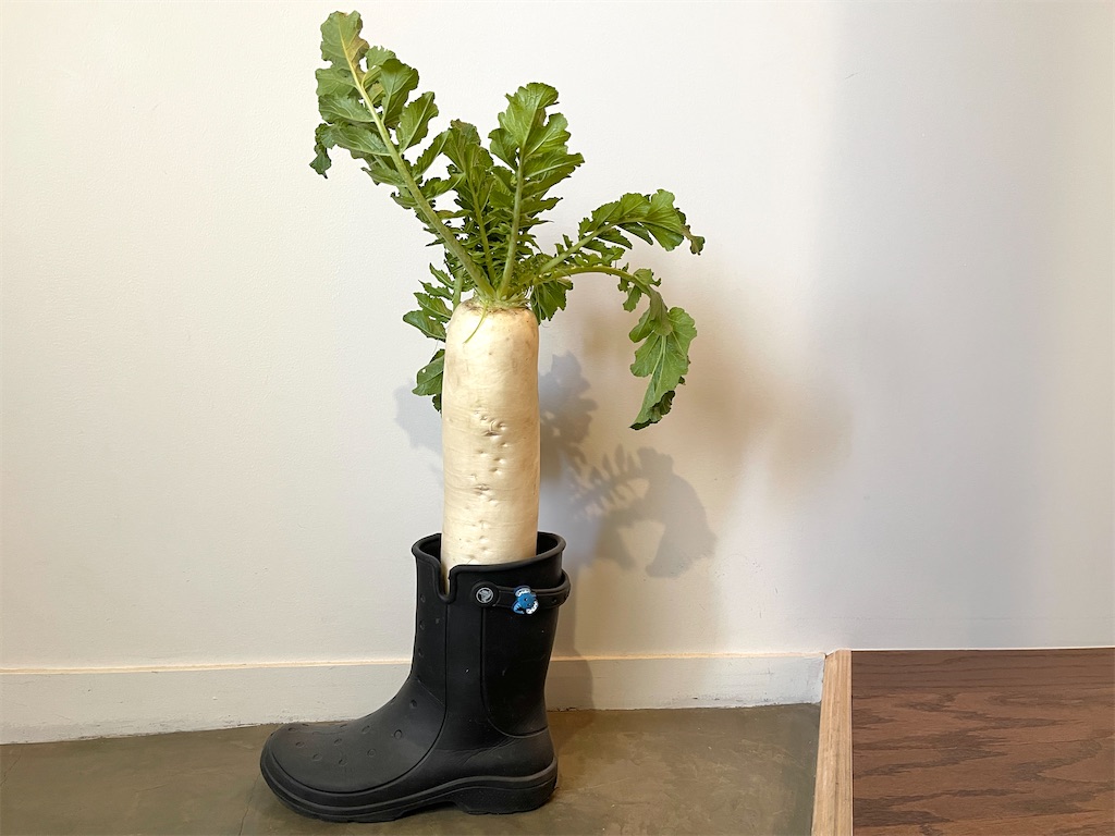 f:id:kooooge:20251130151447j:image