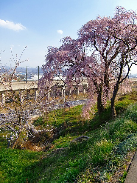 f:id:koorinohotapi:20110415165909j:image f:id:koorinohotapi:20110415165909j:image