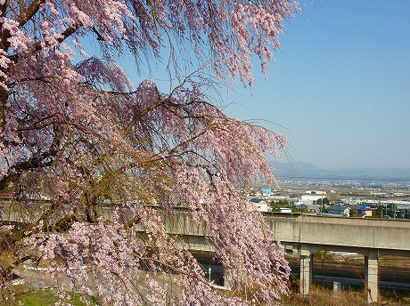 f:id:koorinohotapi:20110415170002j:image f:id:koorinohotapi:20110415170002j:image