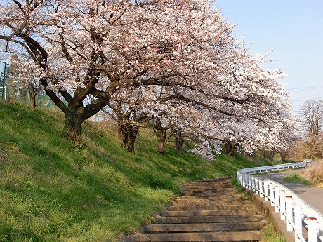 f:id:koorinohotapi:20110415170256j:image f:id:koorinohotapi:20110415170256j:image