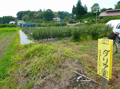 f:id:koorinohotapi:20120730163440j:image