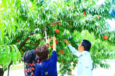 f:id:koorinohotapi:20160920183550j:image:w400