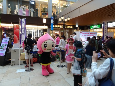 イベント 1 18 金 1 19 土 Jr仙台駅で桑折町観光ｐｒをしてくるよ ホタピーの桑折観光日記