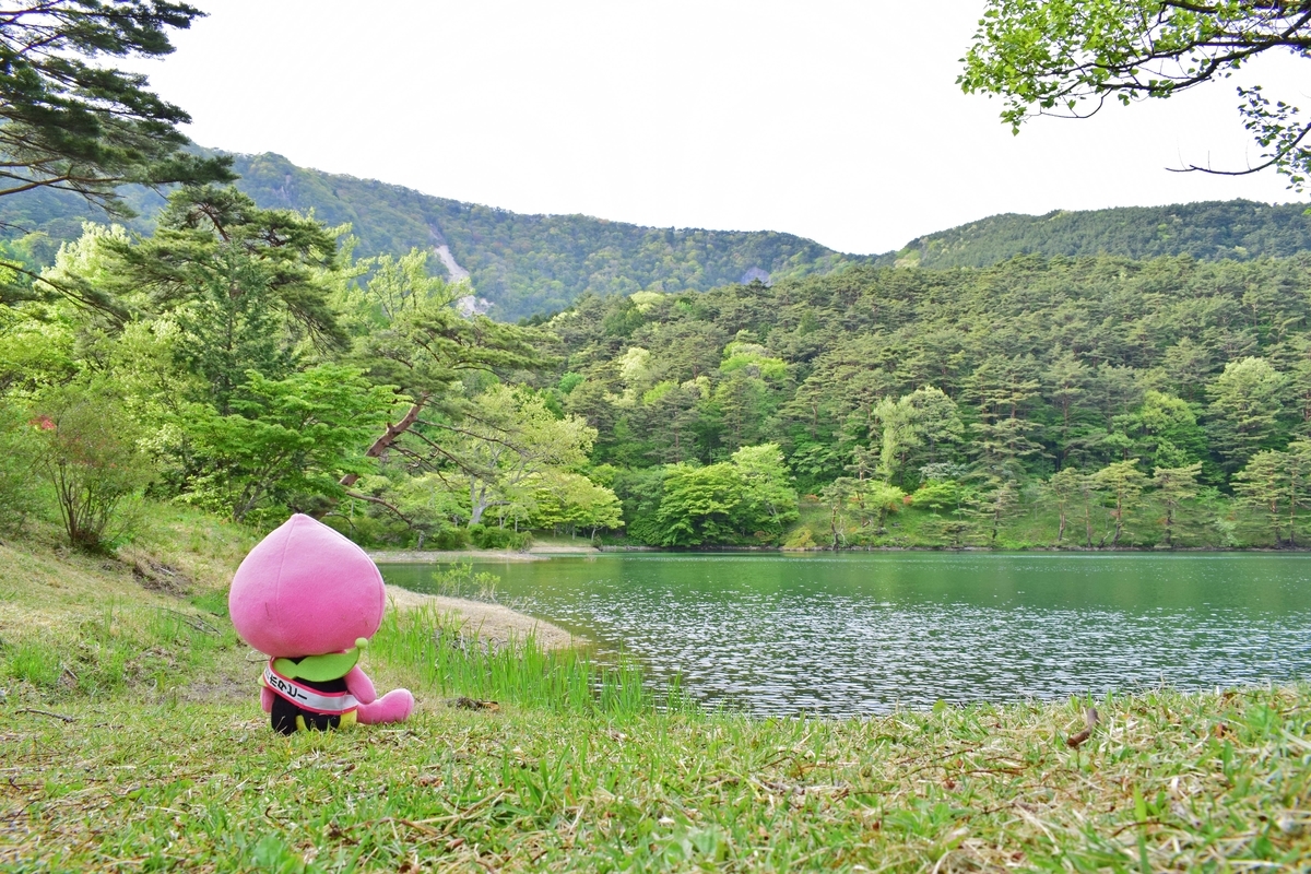 f:id:koorinohotapi:20210512155509j:plain