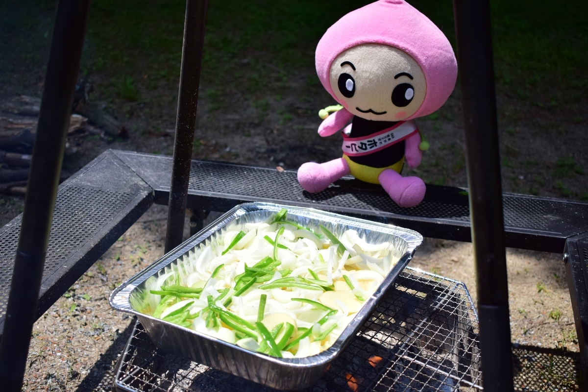 f:id:koorinohotapi:20210614132734j:plain