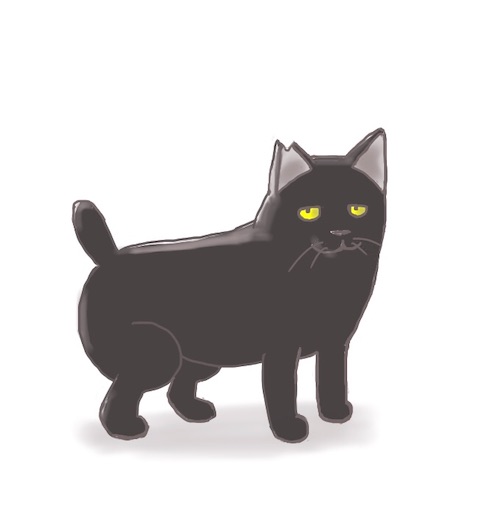 f:id:kooritokka:20210323112303j:image f:id:kooritokka:20210323112303j:image