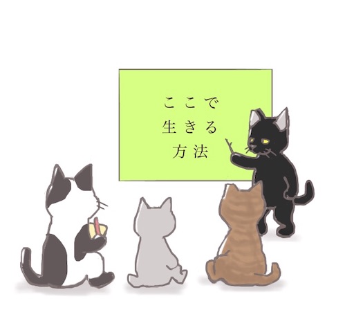 f:id:kooritokka:20210323112536j:image f:id:kooritokka:20210323112536j:image