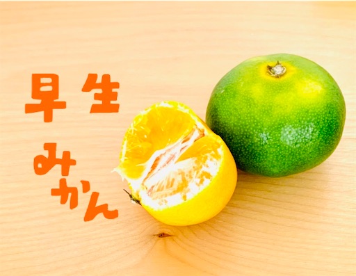 f:id:kooritokka:20210913182608j:image