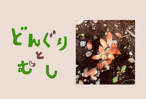 f:id:kooritokka:20210921143202j:image