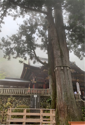 f:id:kooritokka:20211021134754j:image