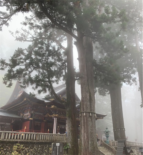 f:id:kooritokka:20211021135739j:image