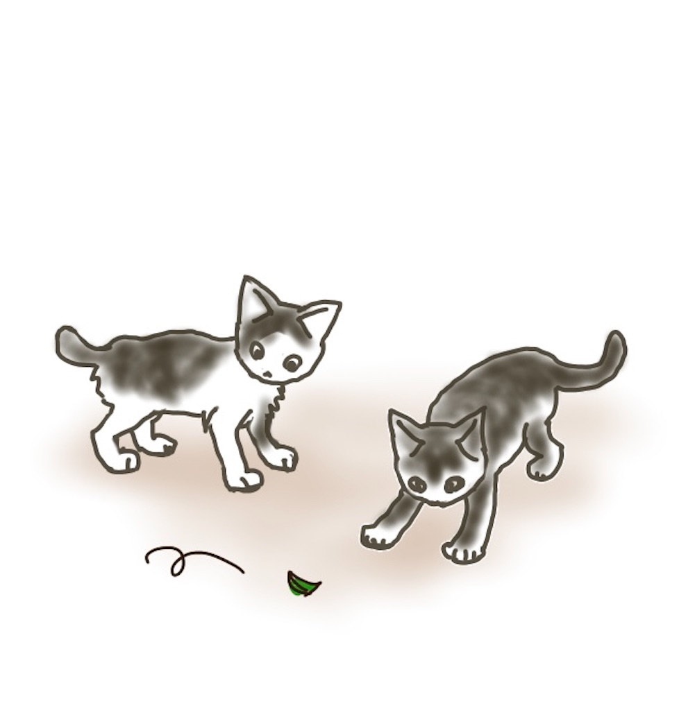 f:id:kooritokka:20220110102139j:image