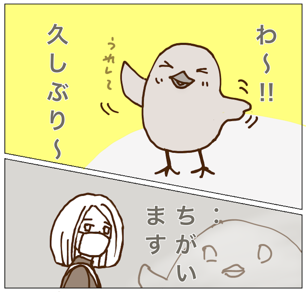 f:id:kooritokka:20220620195951p:image f:id:kooritokka:20220620195951p:image