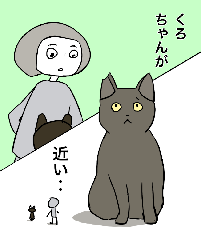 f:id:kooritokka:20240419225014p:image f:id:kooritokka:20240419225014p:image
