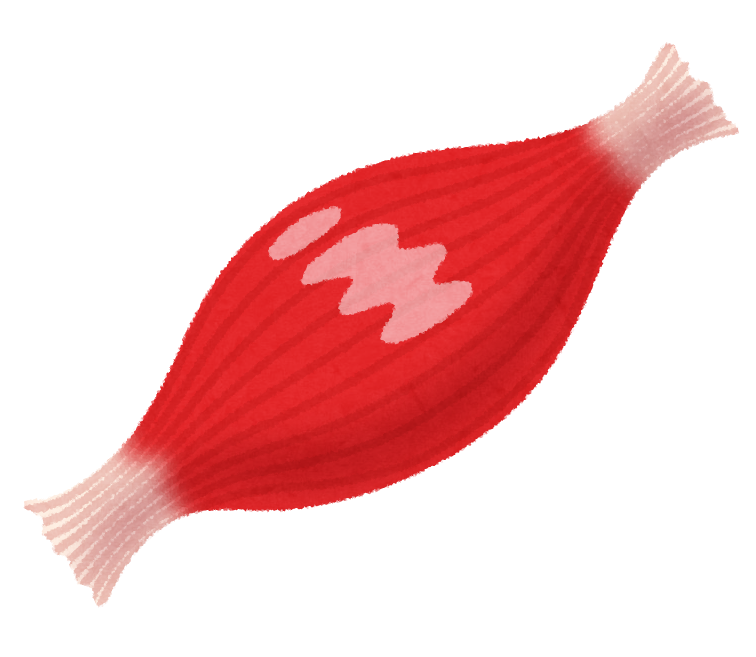 f:id:koouta:20190730001646p:plain f:id:koouta:20190730001646p:plain