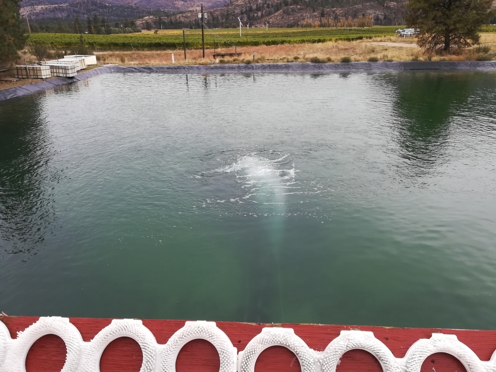 f:id:kopanda2018:20181009142308j:plain