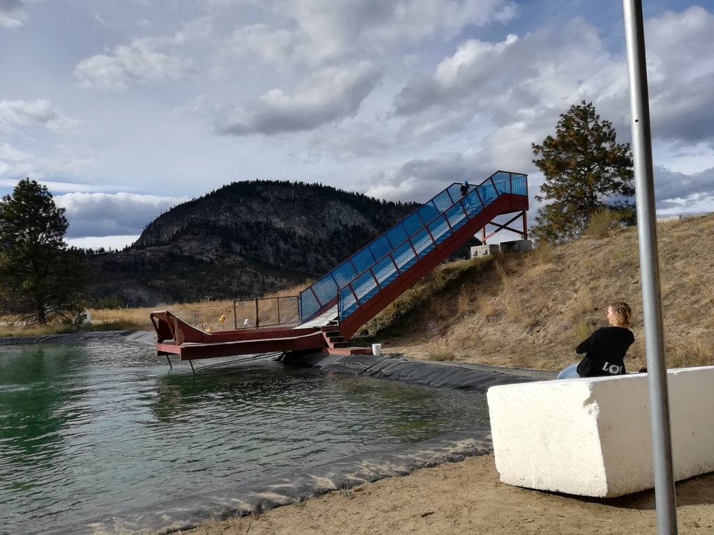 f:id:kopanda2018:20181009142730j:plain