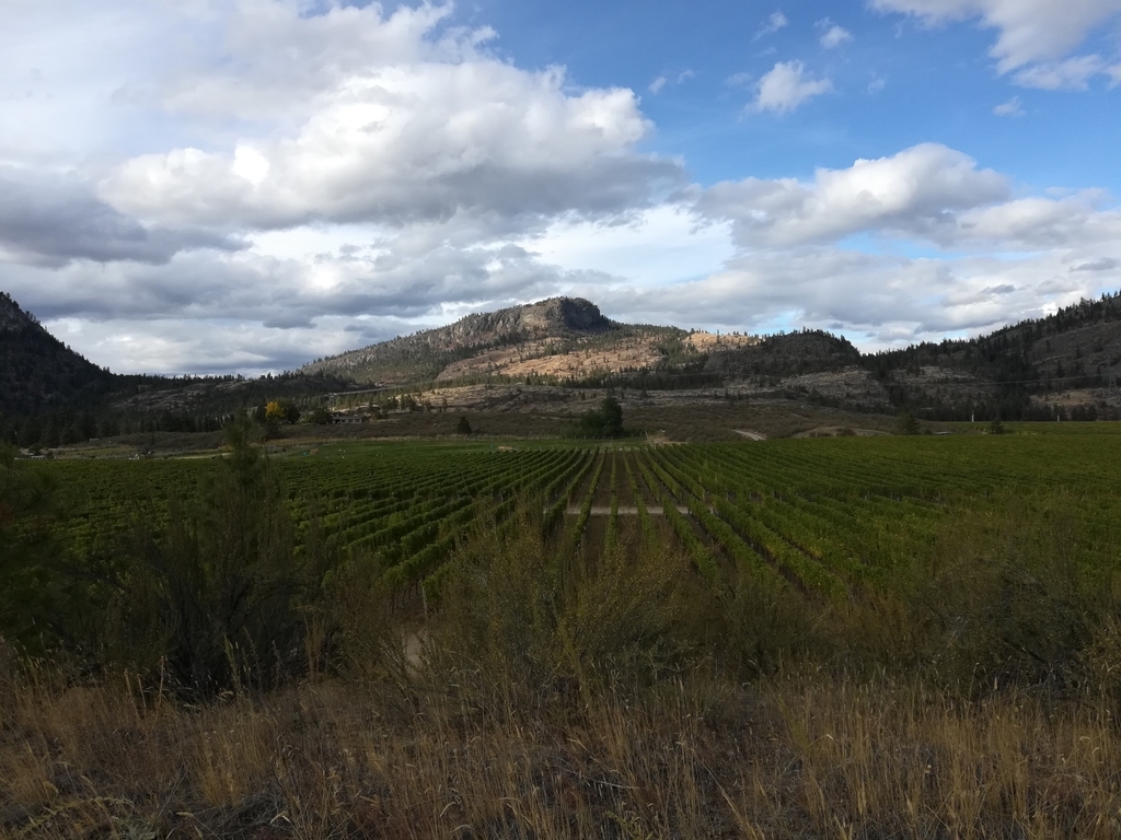 f:id:kopanda2018:20181009143153j:plain