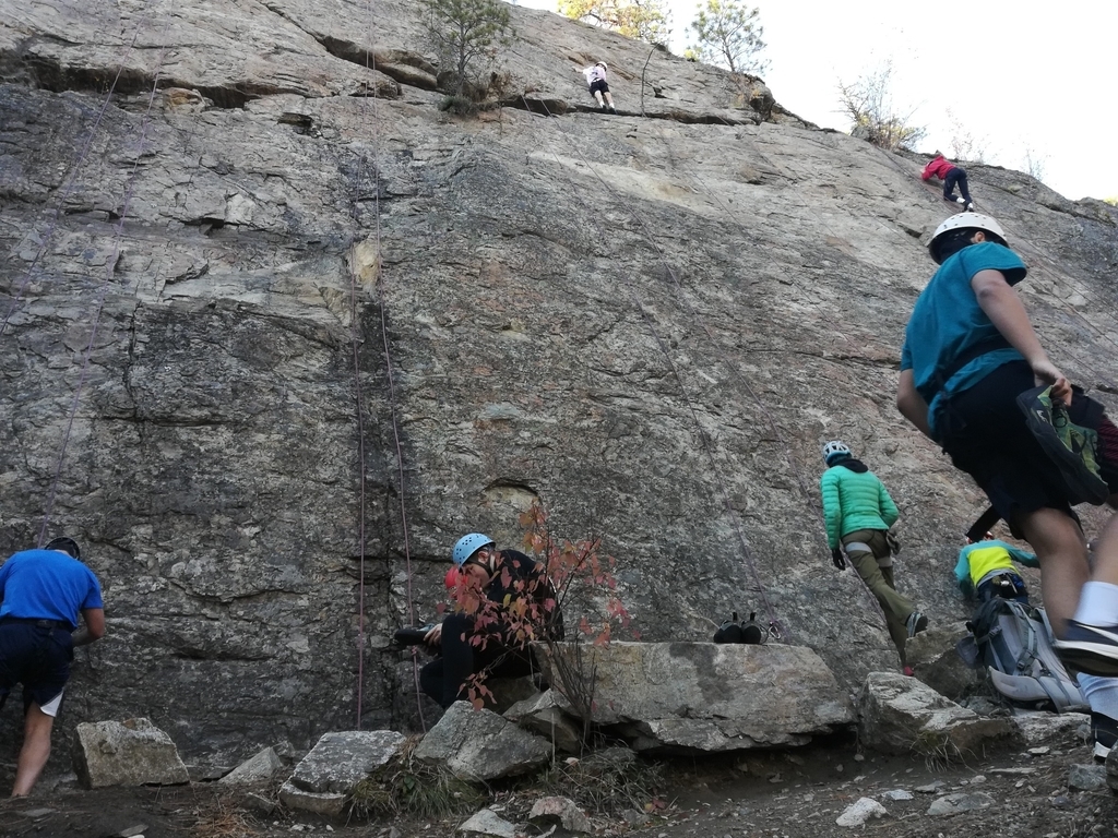 f:id:kopanda2018:20181013132342j:plain