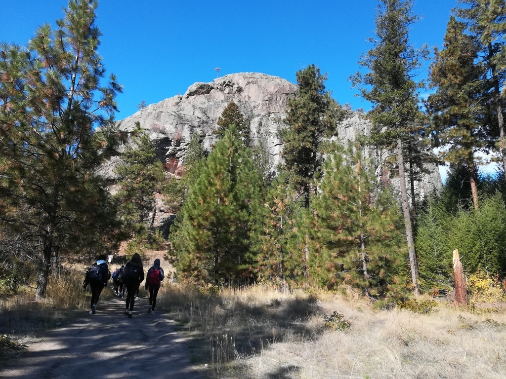 f:id:kopanda2018:20181013132428j:plain