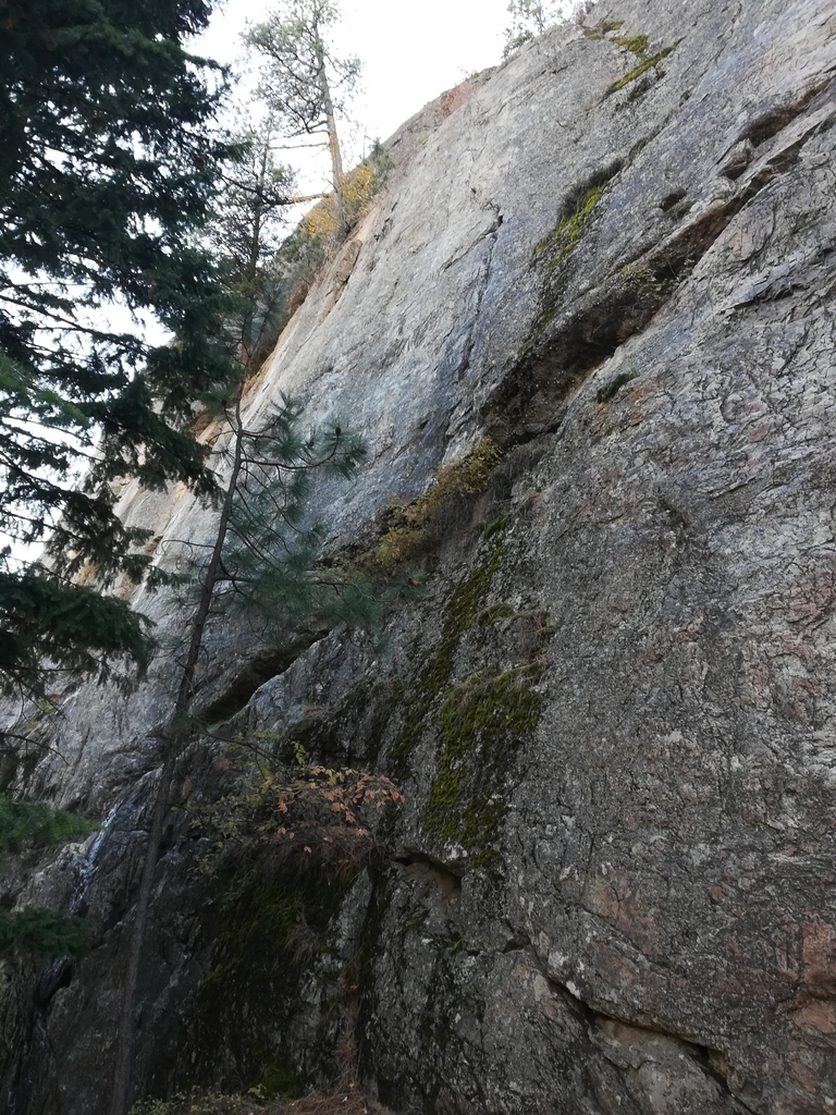 f:id:kopanda2018:20181013132607j:plain