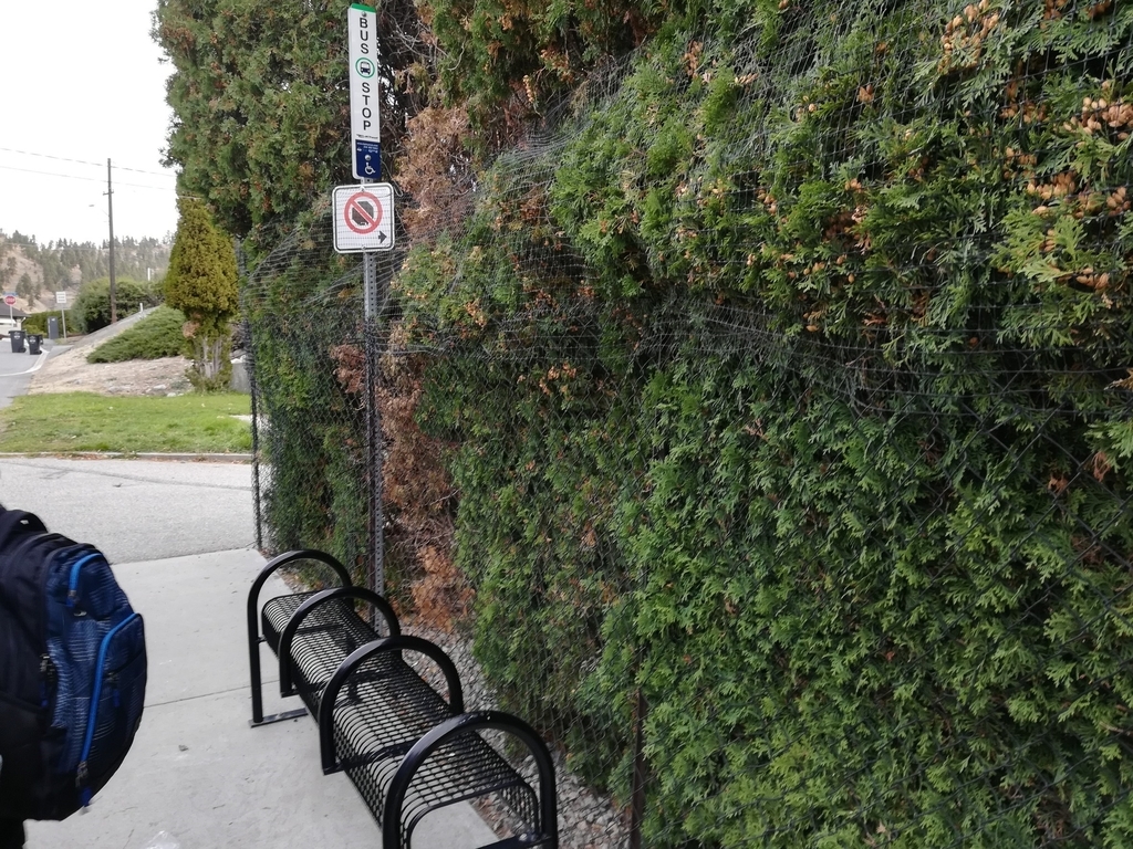 f:id:kopanda2018:20181103171645j:plain