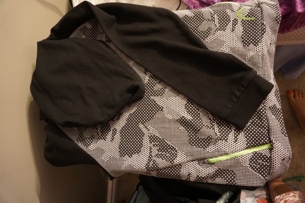 f:id:kopanda2018:20190110161336j:plain