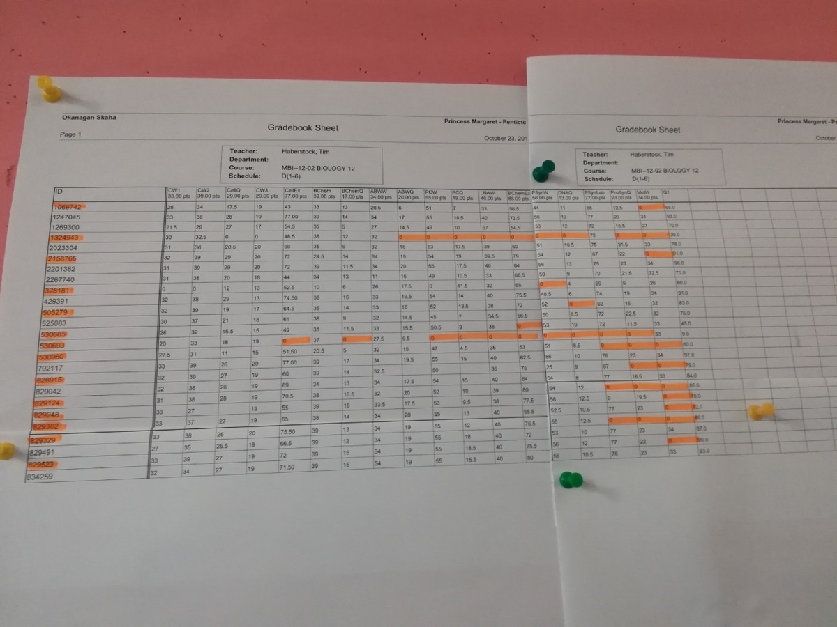 f:id:kopanda2018:20190604153244j:plain