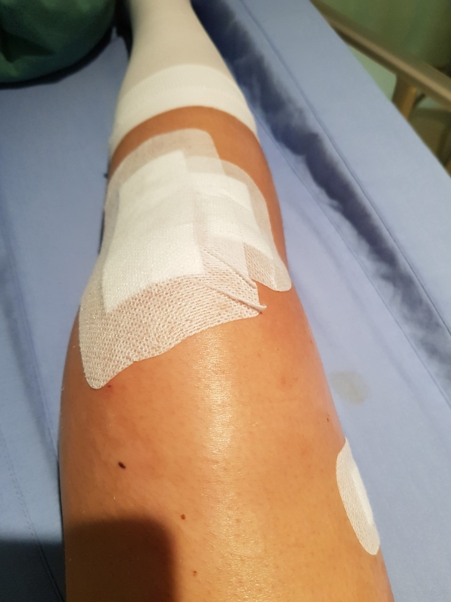 f:id:kopanda2018:20190723072841j:plain