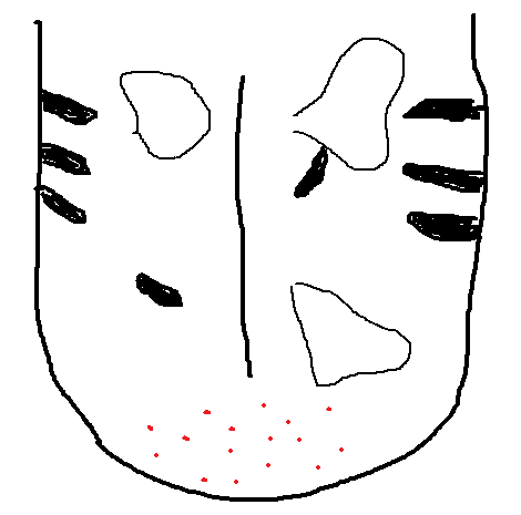 f:id:kopeblo:20190203114527p:plain f:id:kopeblo:20190203114527p:plain