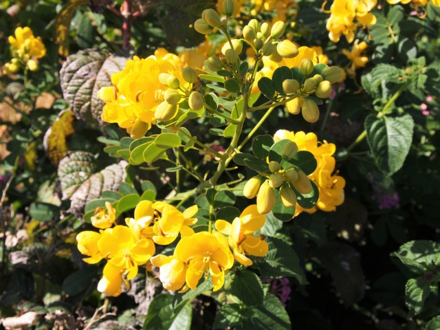 f:id:kopeblo:20190316194709j:plain f:id:kopeblo:20190316194709j:plain