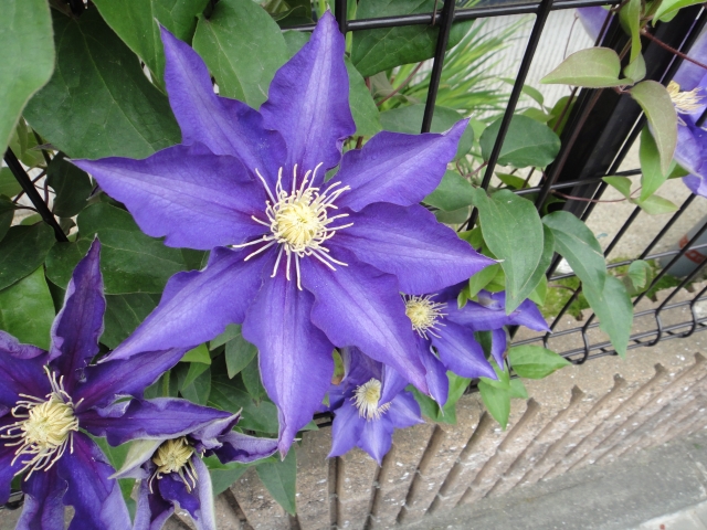 f:id:kopeblo:20190320190405j:plain f:id:kopeblo:20190320190405j:plain