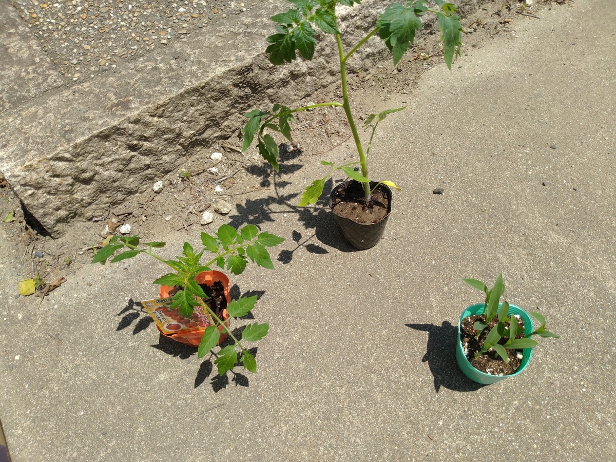 f:id:kopeblo:20190515220823j:plain f:id:kopeblo:20190515220823j:plain