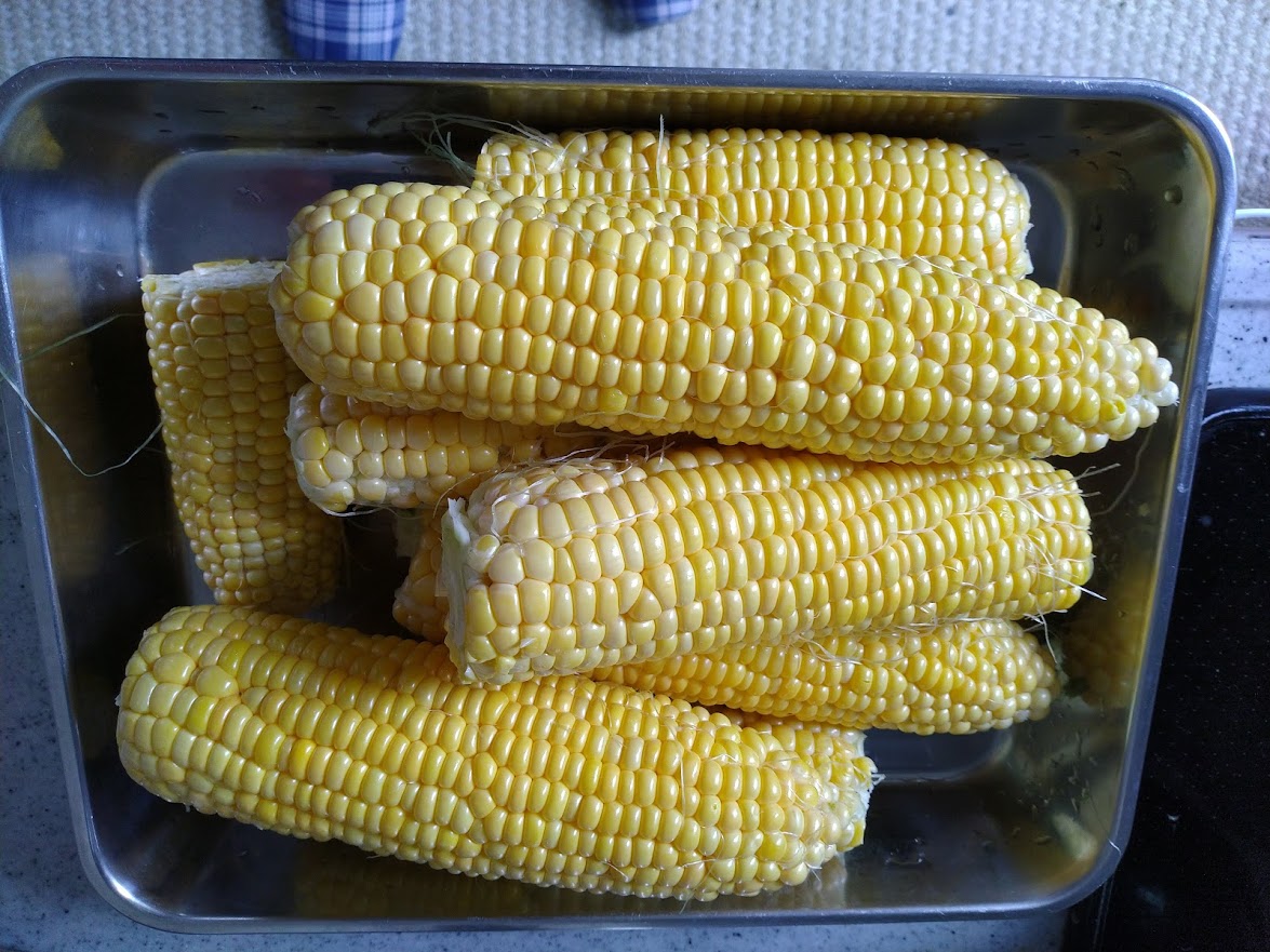 f:id:kopeblo:20190730212306j:plain f:id:kopeblo:20190730212306j:plain