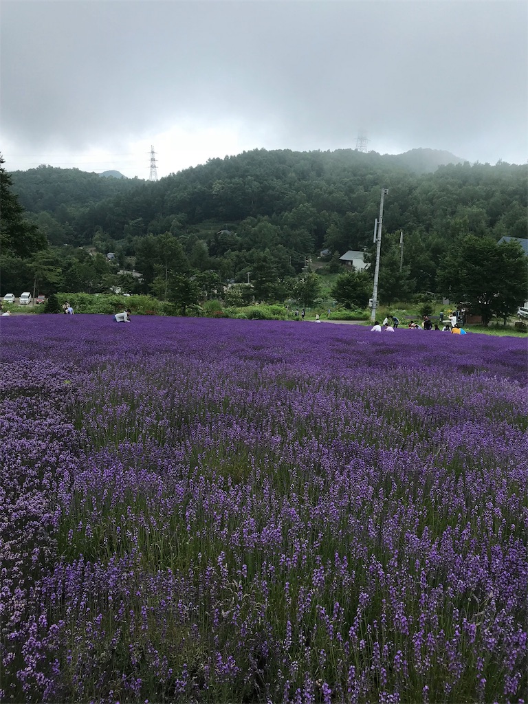 f:id:kopeshilog:20180724172048j:image f:id:kopeshilog:20180724172048j:image